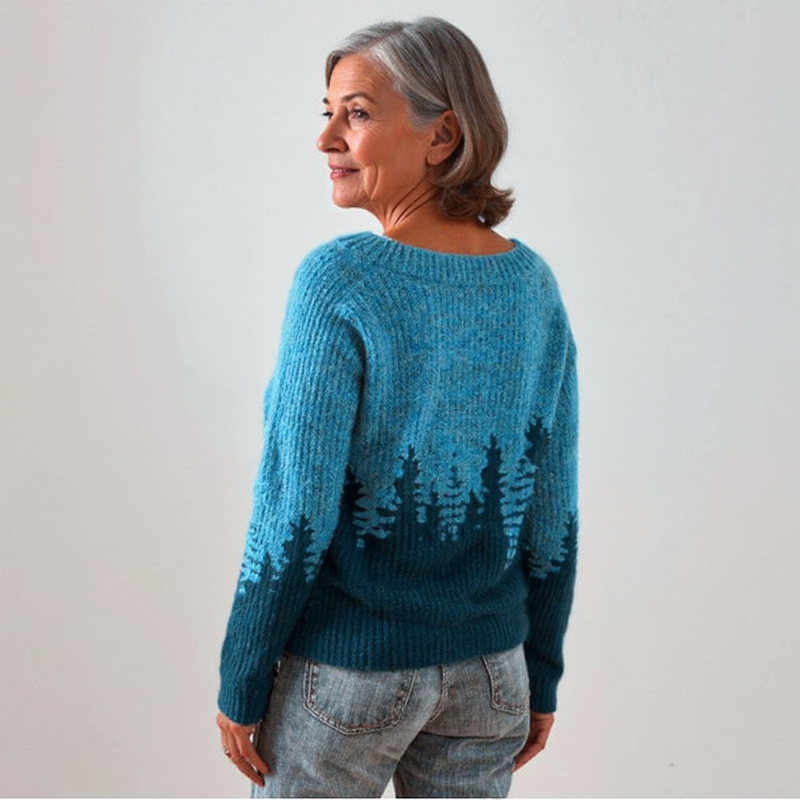 Alp & Aire | Kuscheliger & klassischer Pullover